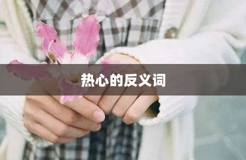 热心的反义词