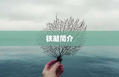 铁凝简介