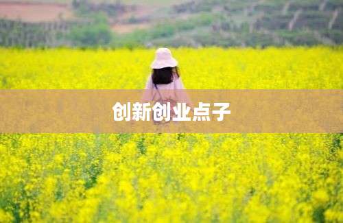 创新创业点子