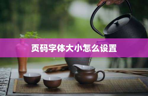 页码字体大小怎么设置