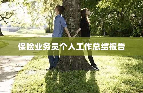 保险业务员个人工作总结报告