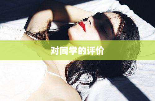 对同学的评价