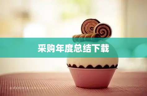采购年度总结下载