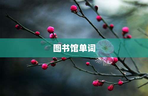 图书馆单词