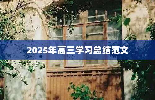 2025年高三学习总结范文