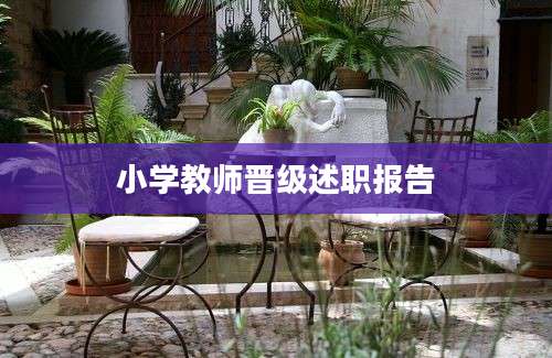 小学教师晋级述职报告