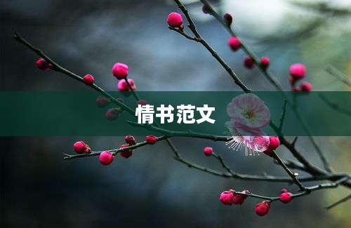 情书范文