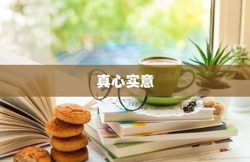 真心实意