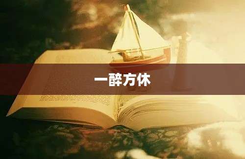 一醉方休