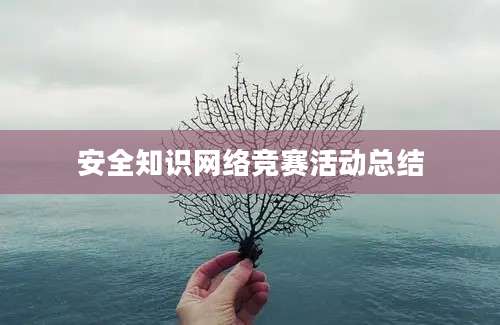 安全知识网络竞赛活动总结