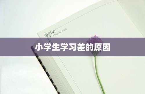 小学生学习差的原因