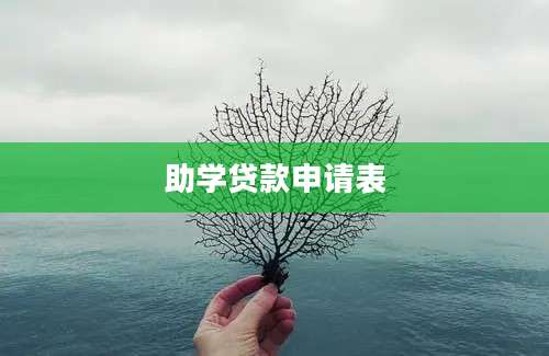 助学贷款申请表