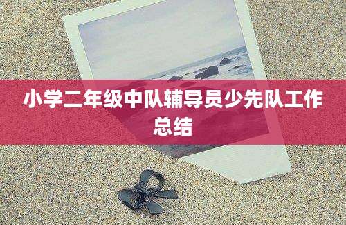 小学二年级中队辅导员少先队工作总结