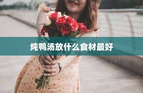 炖鸭汤放什么食材最好
