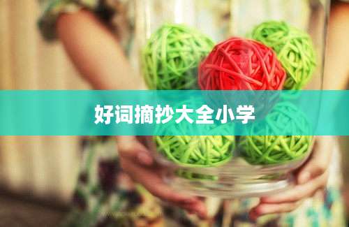 好词摘抄大全小学