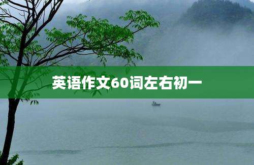 英语作文60词左右初一