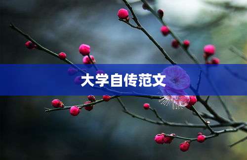 大学自传范文