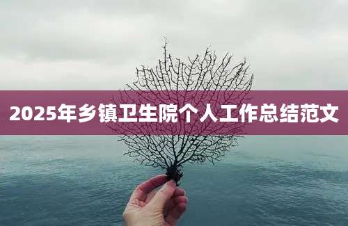 2025年乡镇卫生院个人工作总结范文