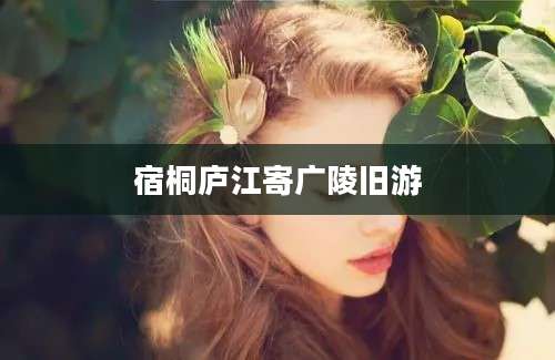宿桐庐江寄广陵旧游