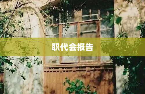 职代会报告