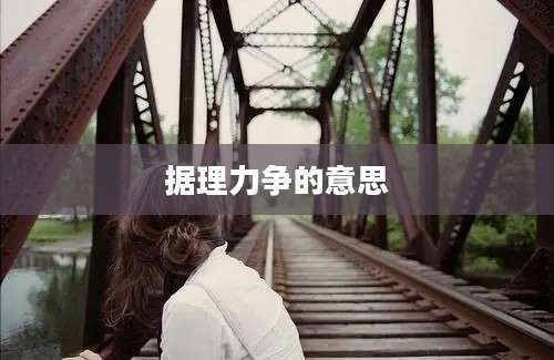 据理力争的意思