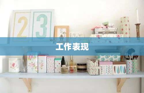 工作表现