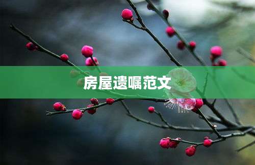 房屋遗嘱范文