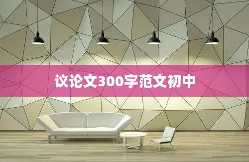 议论文300字范文初中