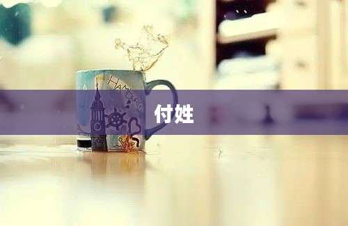 付姓