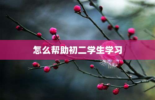 怎么帮助初二学生学习