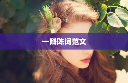 一辩陈词范文