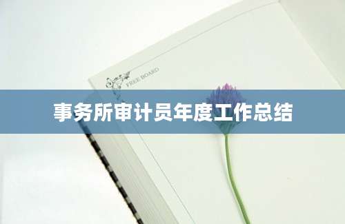 事务所审计员年度工作总结