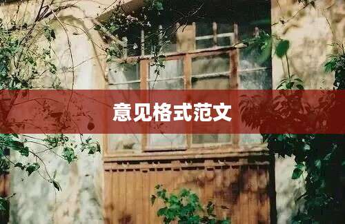 意见格式范文