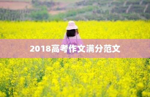 2018高考作文满分范文