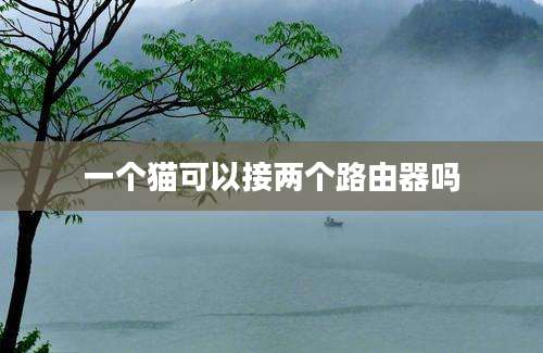一个猫可以接两个路由器吗