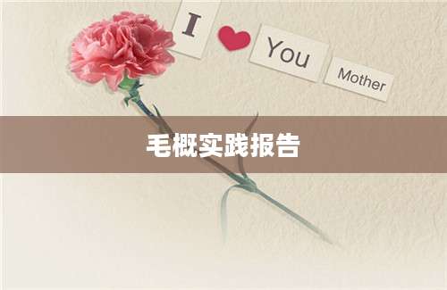毛概实践报告