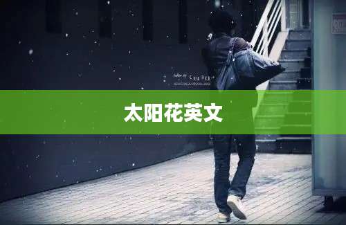太阳花英文