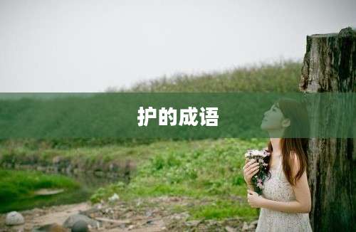 护的成语