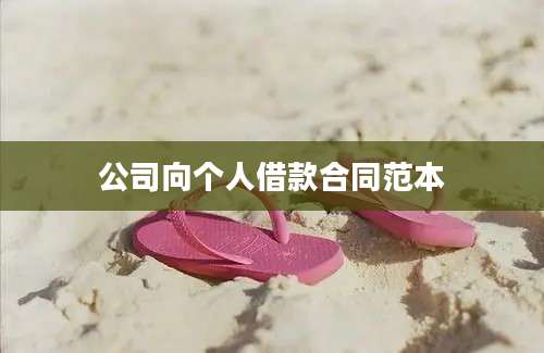 公司向个人借款合同范本