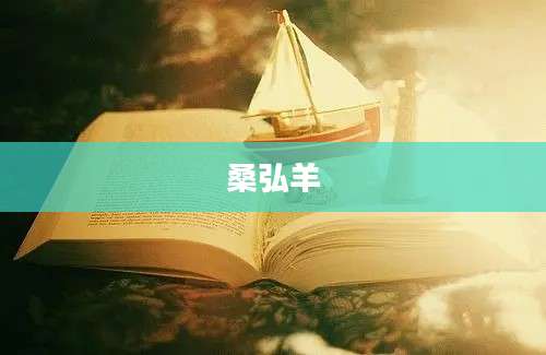 桑弘羊