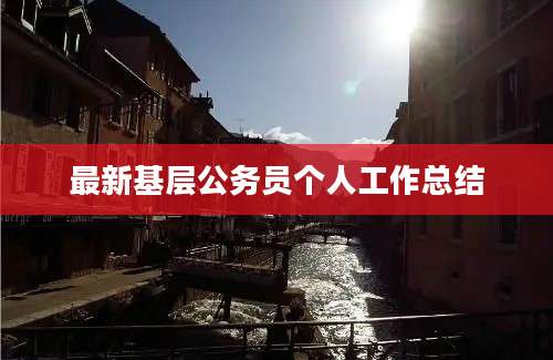 最新基层公务员个人工作总结