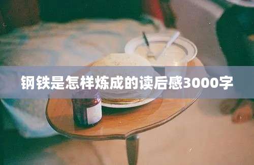 钢铁是怎样炼成的读后感3000字