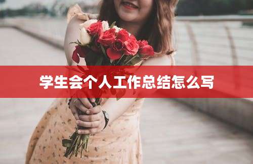 学生会个人工作总结怎么写
