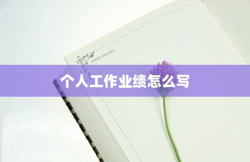 个人工作业绩怎么写