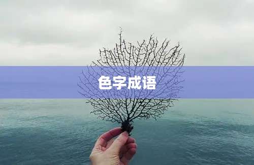 色字成语