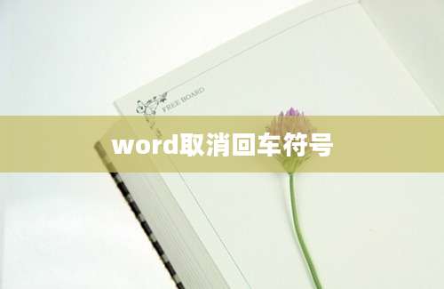 word取消回车符号