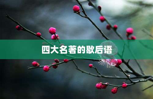 四大名著的歇后语