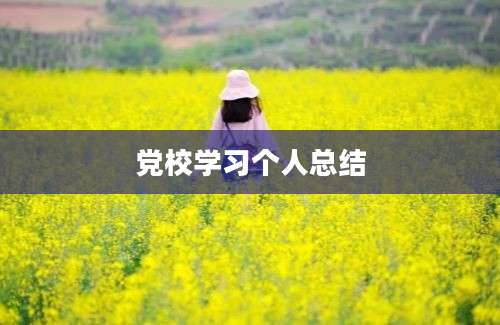 党校学习个人总结