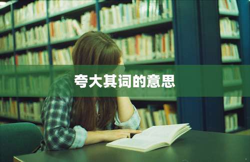 夸大其词的意思