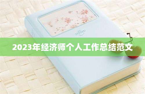 2023年经济师个人工作总结范文